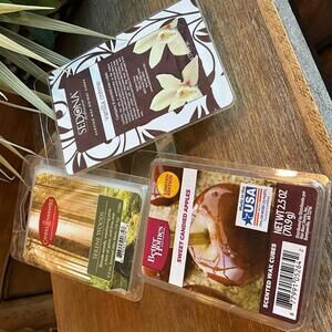 Scented Wax Melt Cubes Mixed Lot - Set of 3 2.5 oz - 20 Melts